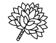 Ayahuasca Course